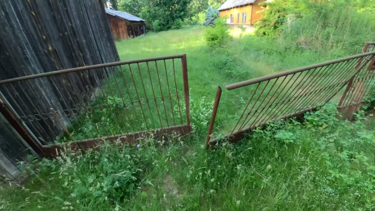 Spontaniczna eksploracja pewnego leśnego gospodarstwa